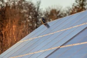 Residential Solar