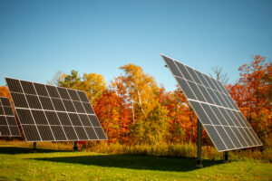 Copy of Copy of IMG_9751