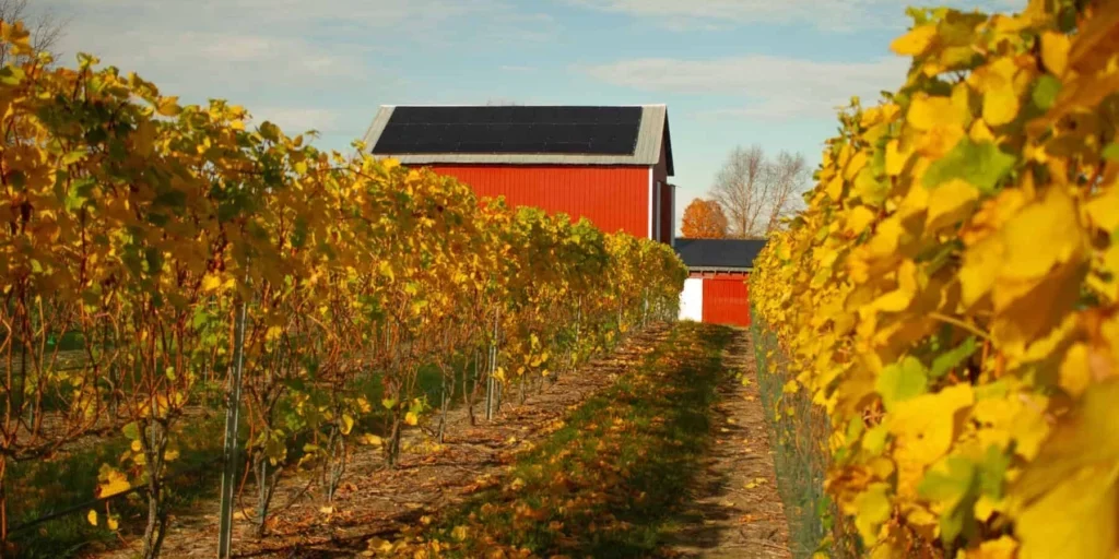 agricultural-solar-power-solar-power-for-farms